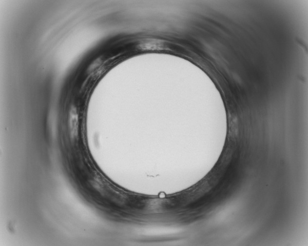 X0000103931151200810171746