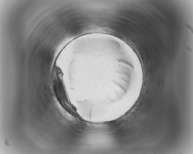 X0000103931152200810171746