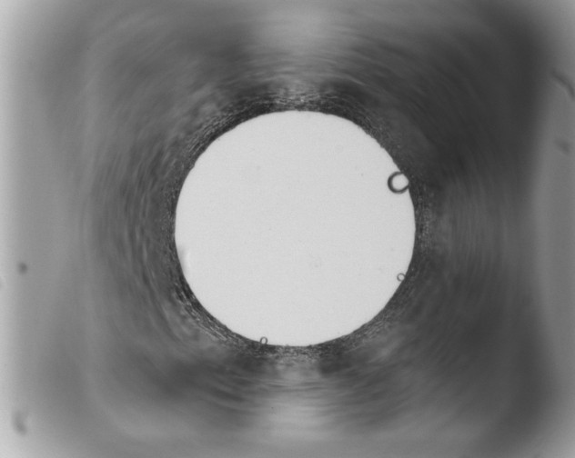 X0000103931153200810171745