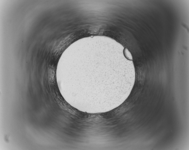 X0000103931154200810171745