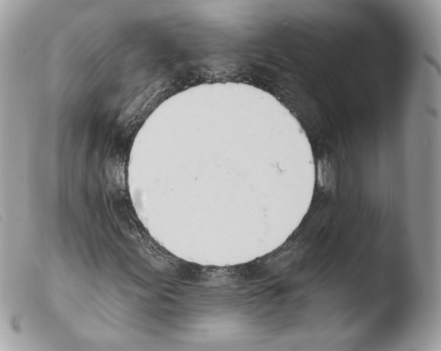 X0000103931155200810171745