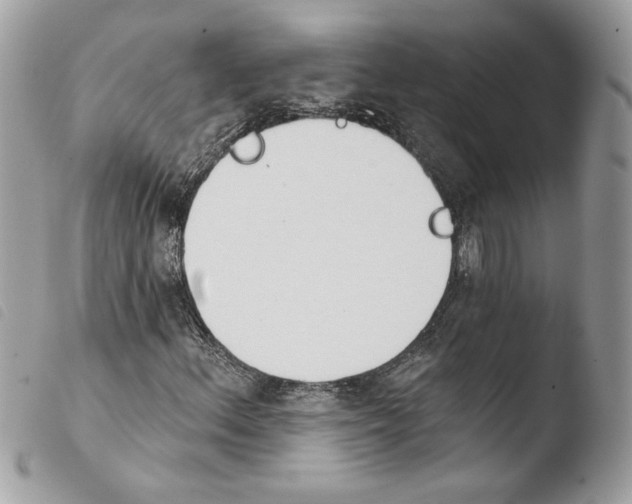 X0000103931156200810171745