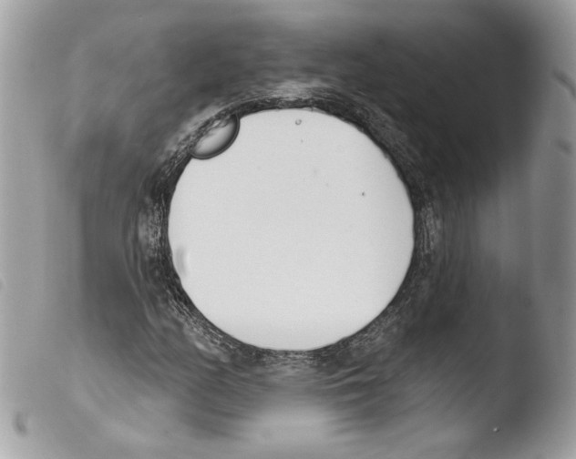 X0000103931158200810171745