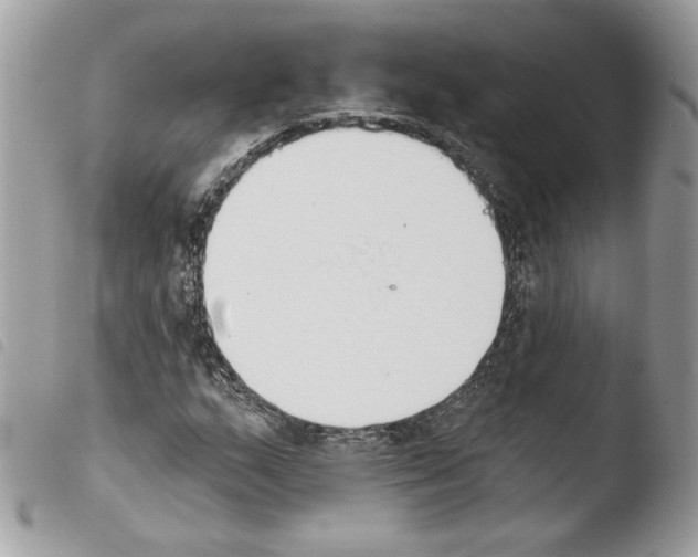 X0000103931159200810171745