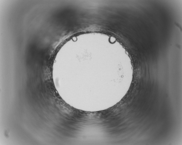 X0000103931160200810171745