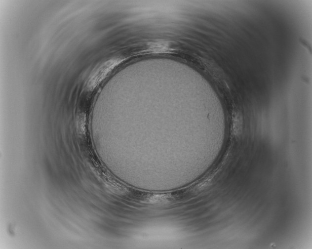 X0000103931161200810171745