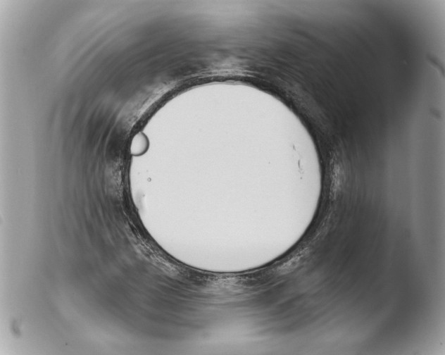 X0000103931162200810171745