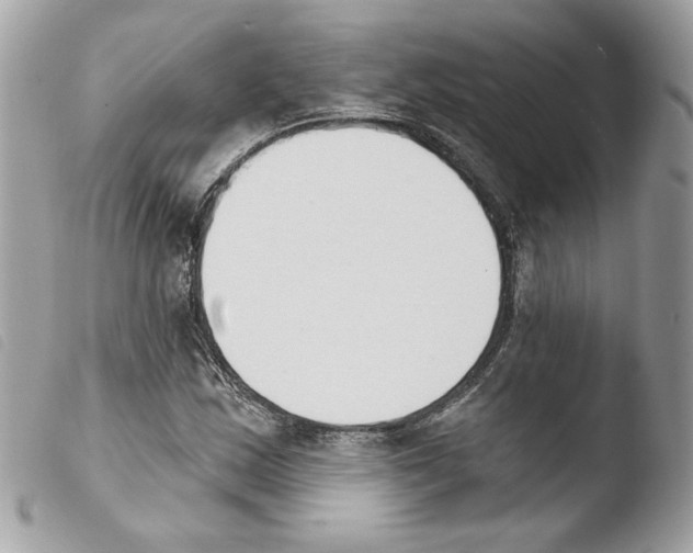 X0000103931163200810171745