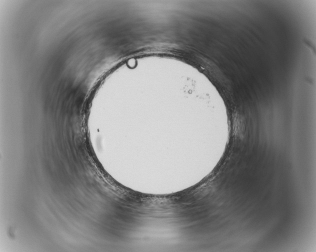 X0000103931164200810171745