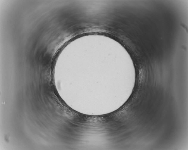 X0000103931165200810171745