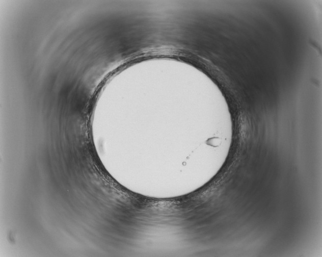 X0000103931166200810171745