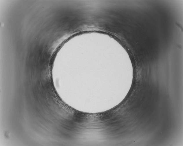 X0000103931167200810171745