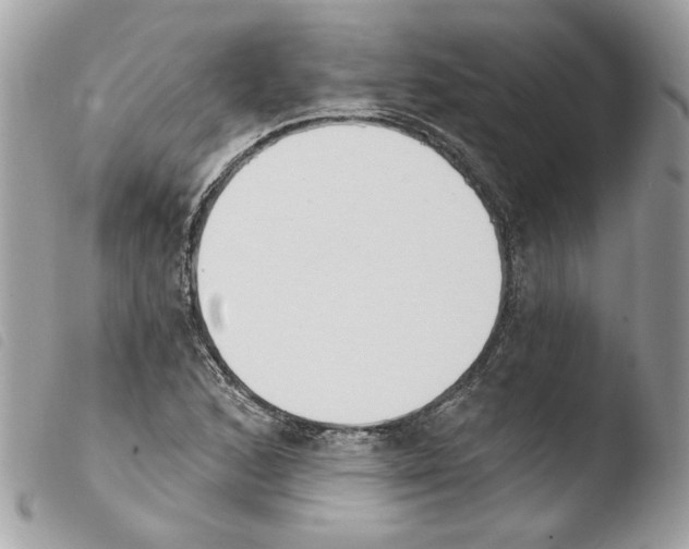 X0000103931168200810171745