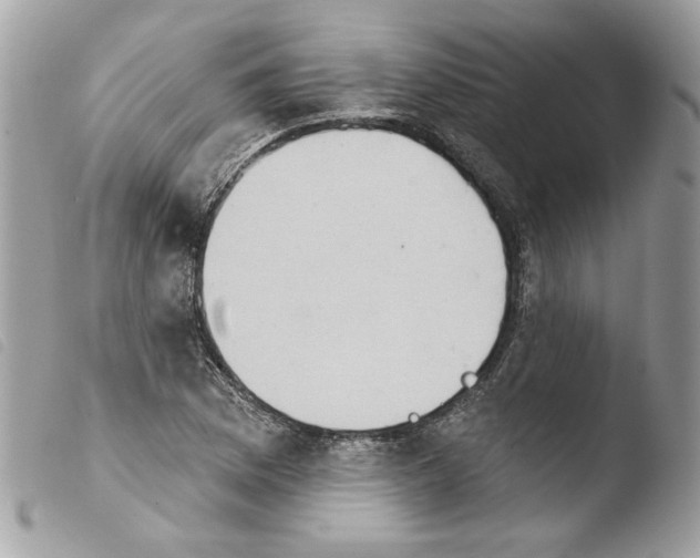 X0000103931169200810171745