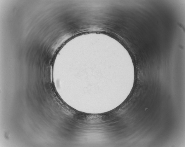 X0000103931171200810171744