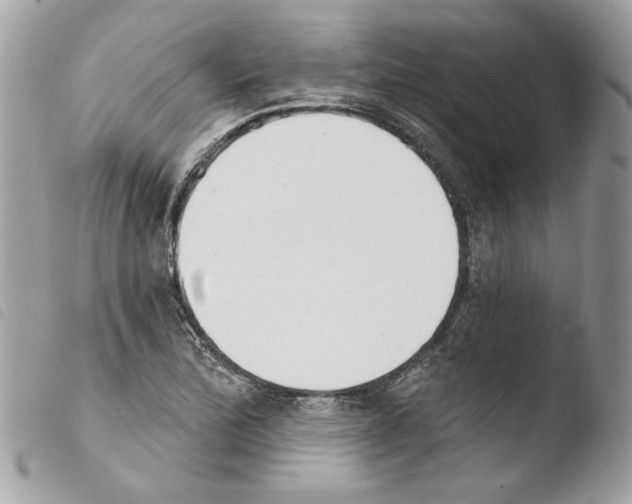 X0000103931172200810171744