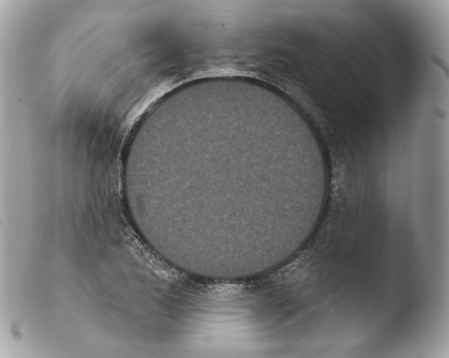 X0000103931173200810171744