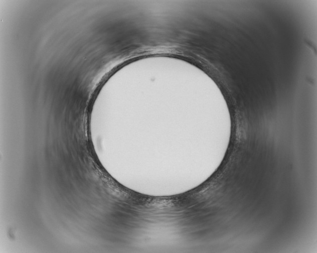 X0000103931174200810171744