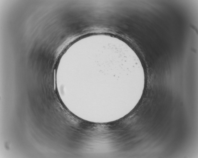 X0000103931175200810171744