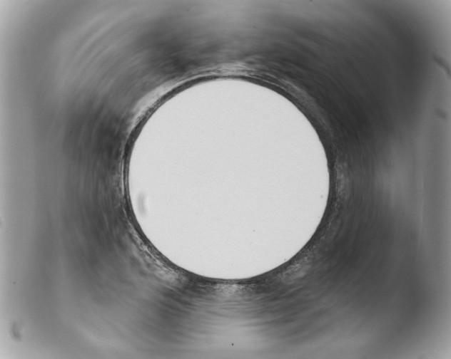 X0000103931176200810171744