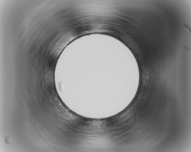 X0000103931177200810171744