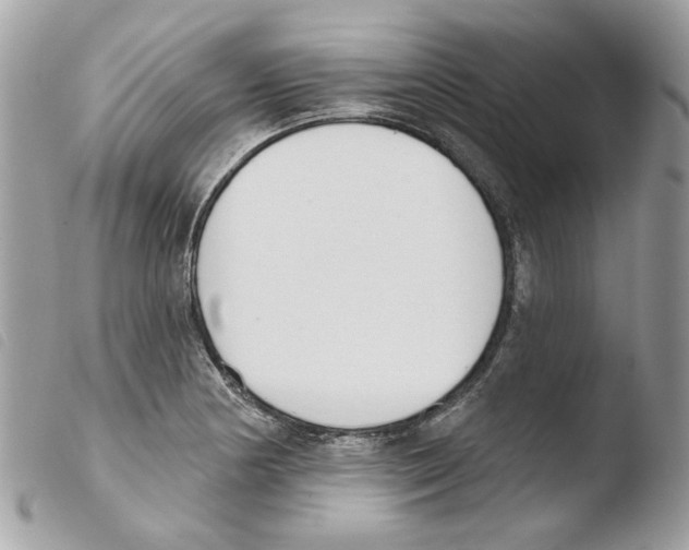 X0000103931178200810171744