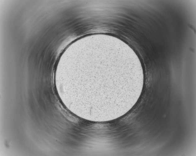 X0000103931179200810171744