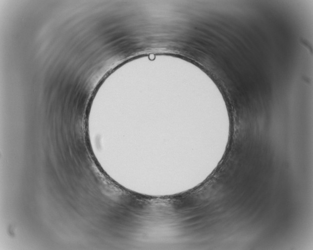 X0000103931181200810171744