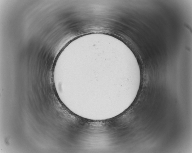 X0000103931182200810171744