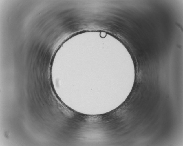 X0000103931183200810171744