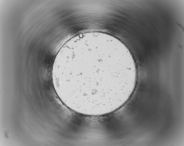 X0000103931185200810171744