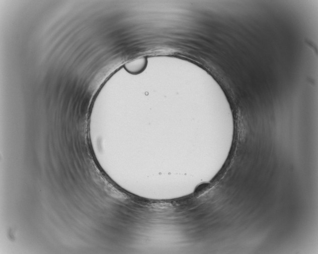 X0000103931186200810171744