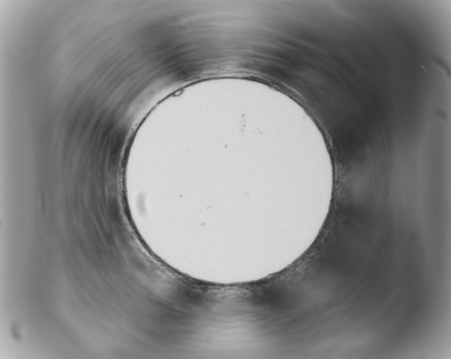 X0000103931187200810171744