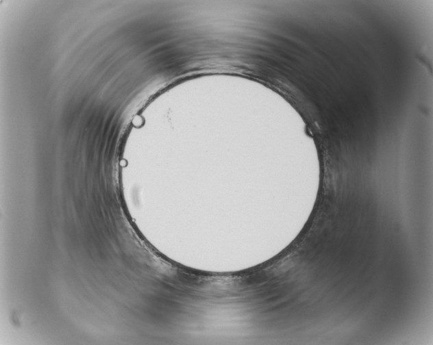 X0000103931188200810171744