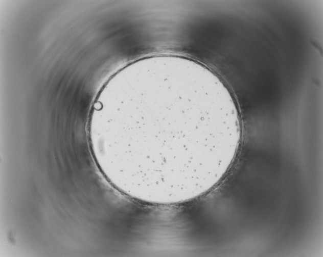 X0000103931189200810171744