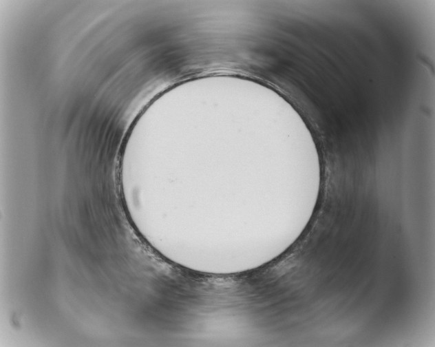 X0000103931190200810171744