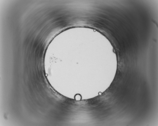 X0000103931191200810171744