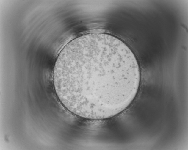 X0000103931193200810171744