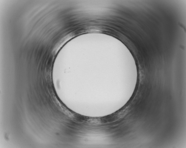 X0000103931194200810171744