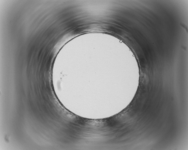 X0000103931195200810171744