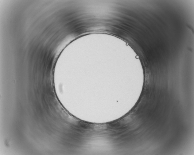 X0000103931196200810171744