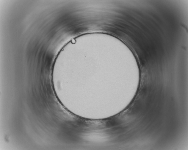 X0000103931197200810171744