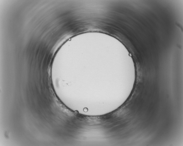 X0000103931198200810171744