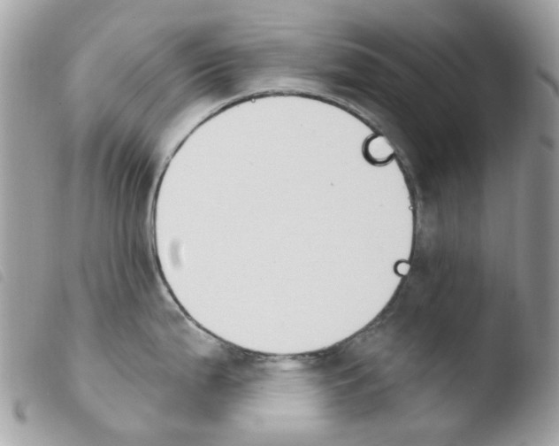 X0000103931199200810171744