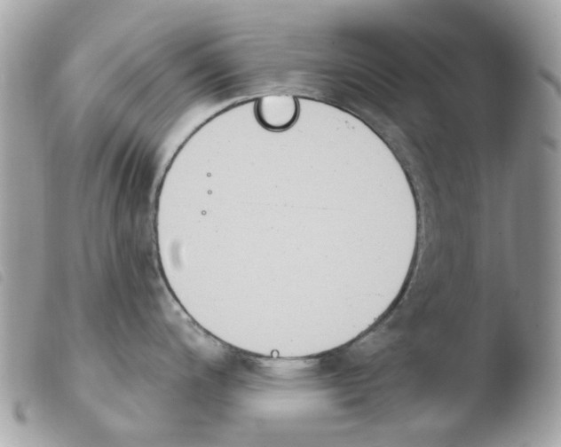 X0000103931200200810171744