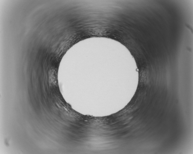 X0000103931202200810171743