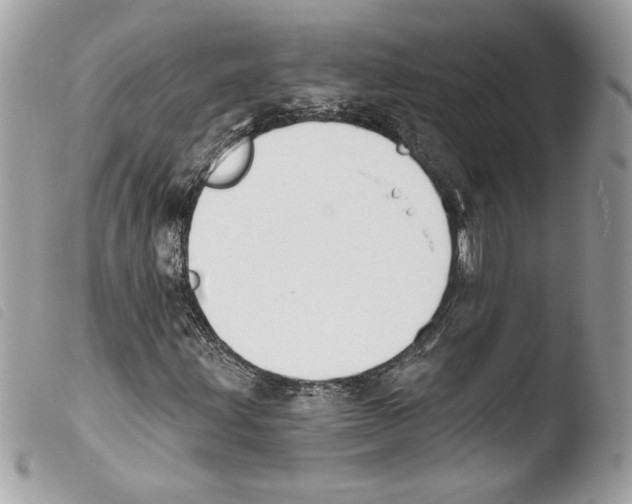 X0000103931203200810171743