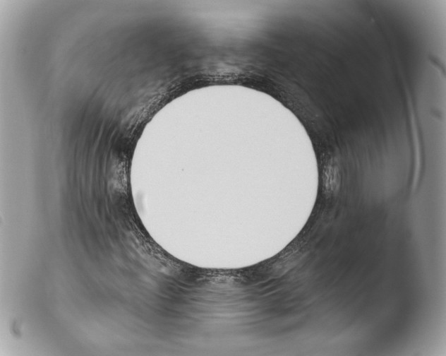 X0000103931204200810171743