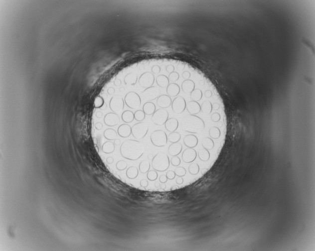 X0000103931205200810171743