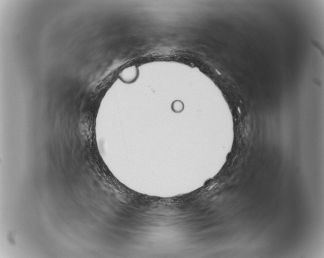 X0000103931206200810171743